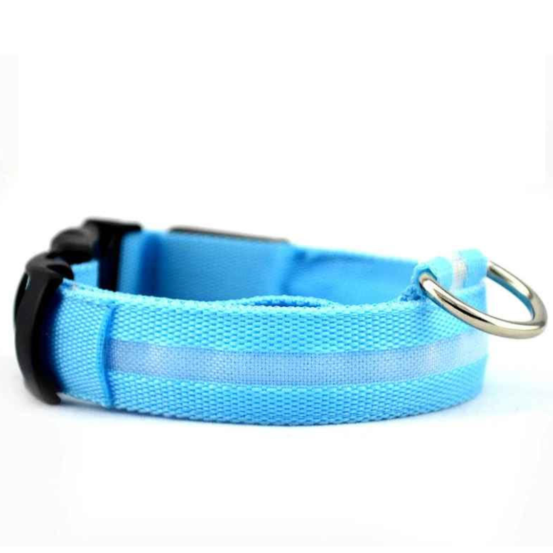 Beamie™ - LED Hund Halsband