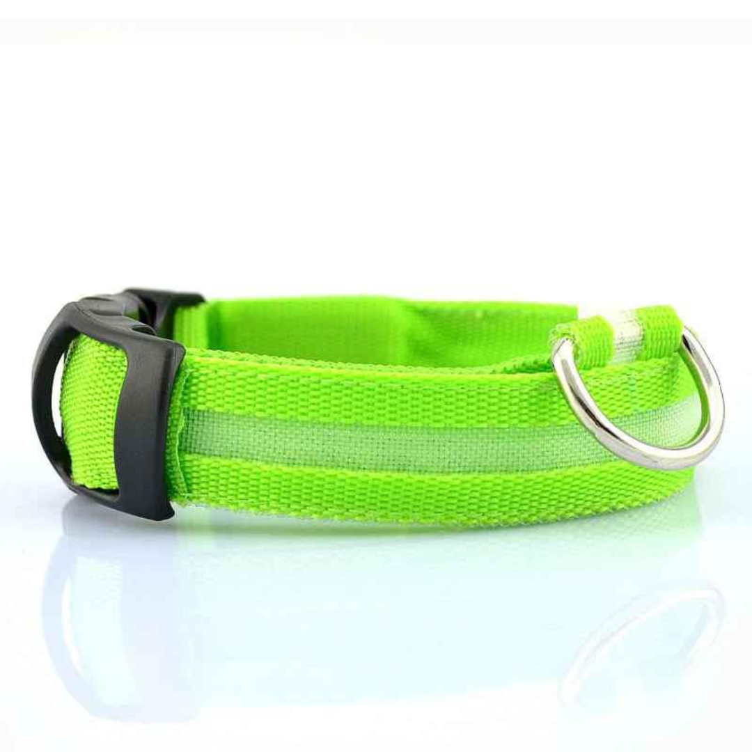 Beamie™ - LED Hund Halsband
