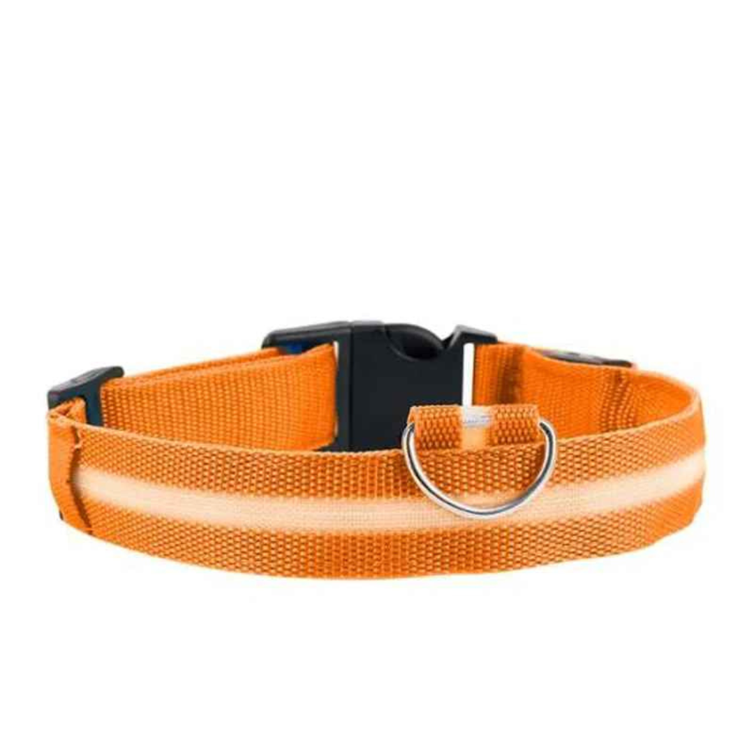 Beamie™ - LED Hund Halsband