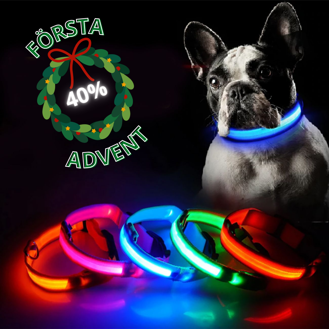 Beamie™ - LED Hund Halsband